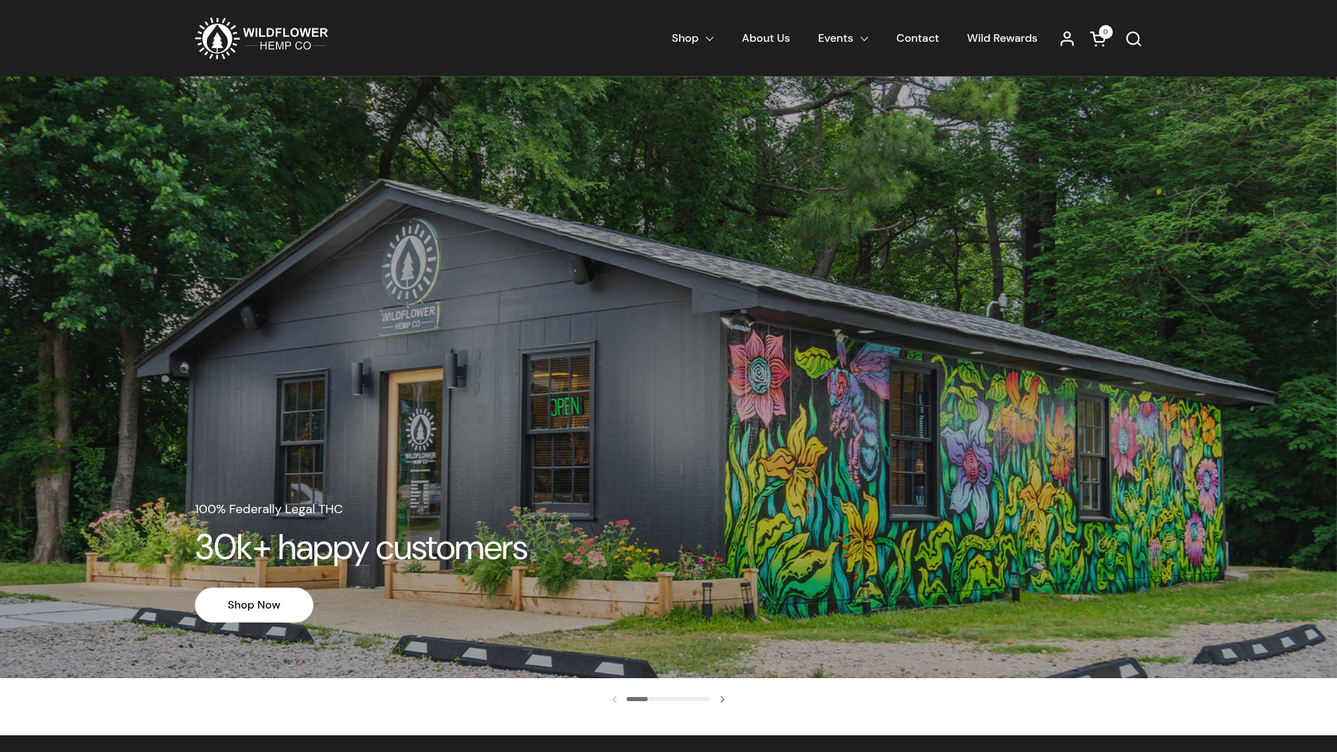 Wildflower Hemp Co case study cover